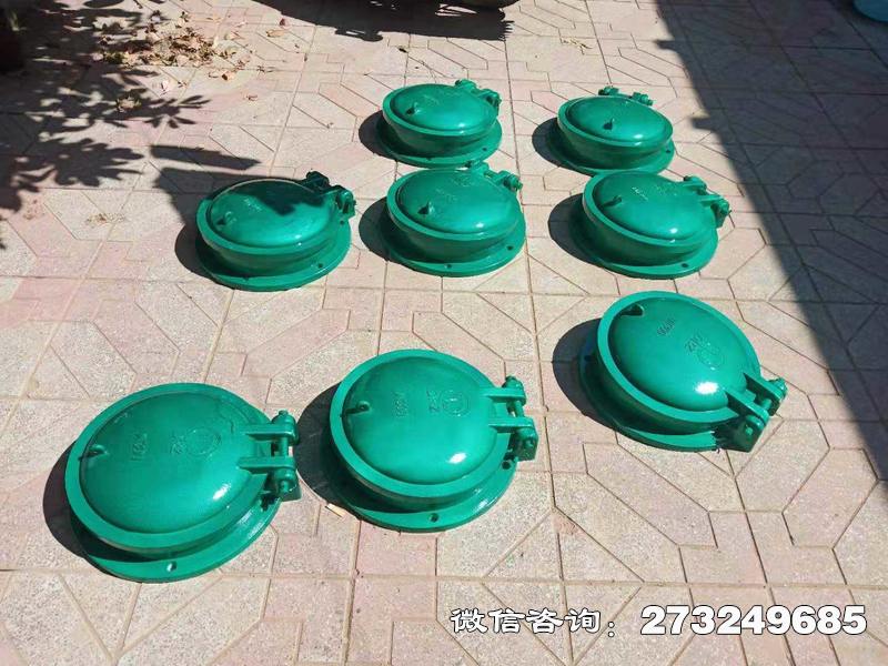 铁锋玻璃钢止水拍门