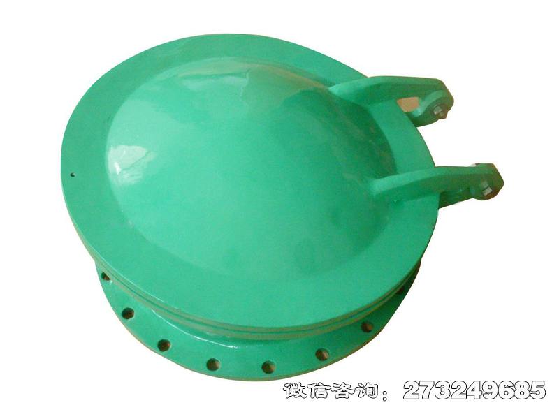 铁锋耐腐蚀管道玻璃钢拍门