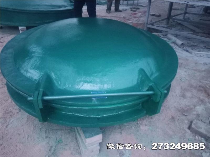 铁锋轻质玻璃钢拍门