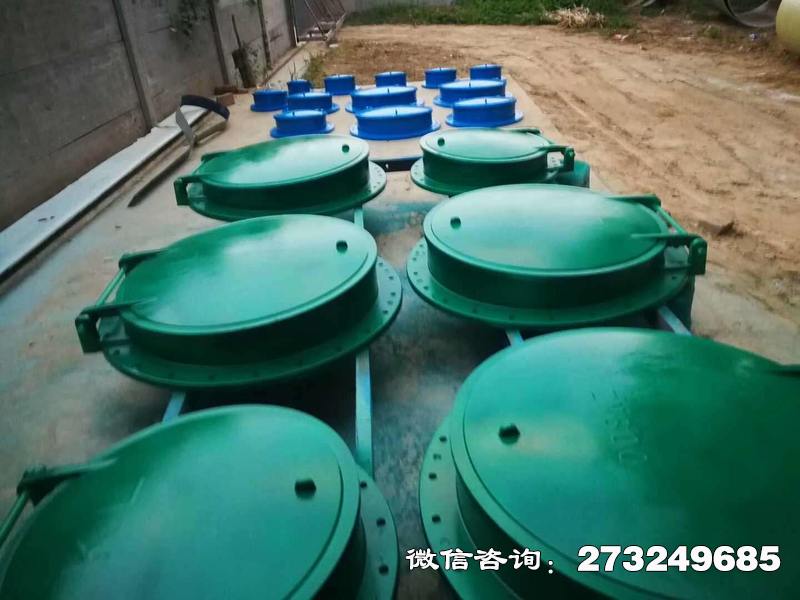 桂阳县市政管道口玻璃钢拍门